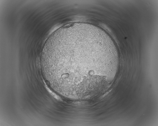 X0000080731433200701021108