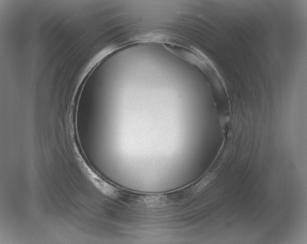 X0000080731434200701021108