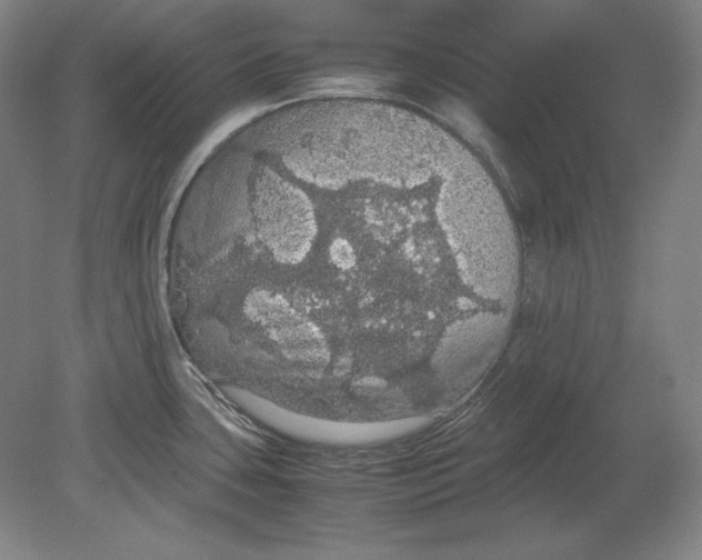 X0000080731435200701021108