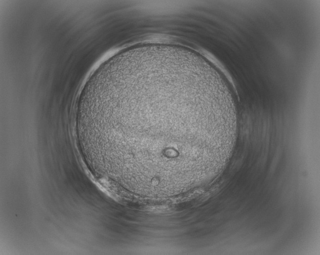 X0000080731437200701021108