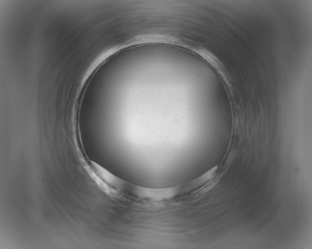 X0000080731438200701021108