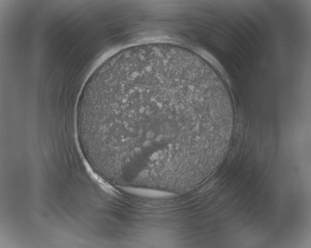 X0000080731439200701021108