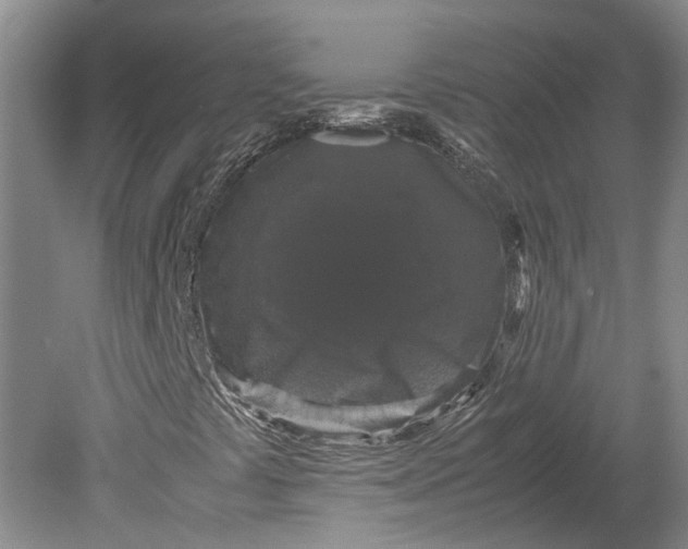 X0000080731441200701021108