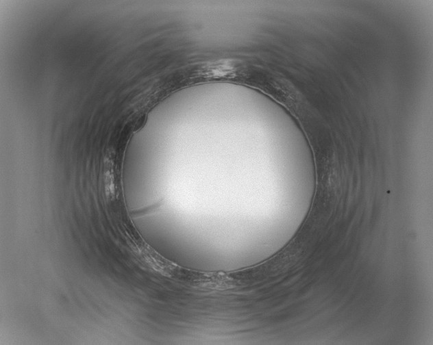 X0000080731442200701021108