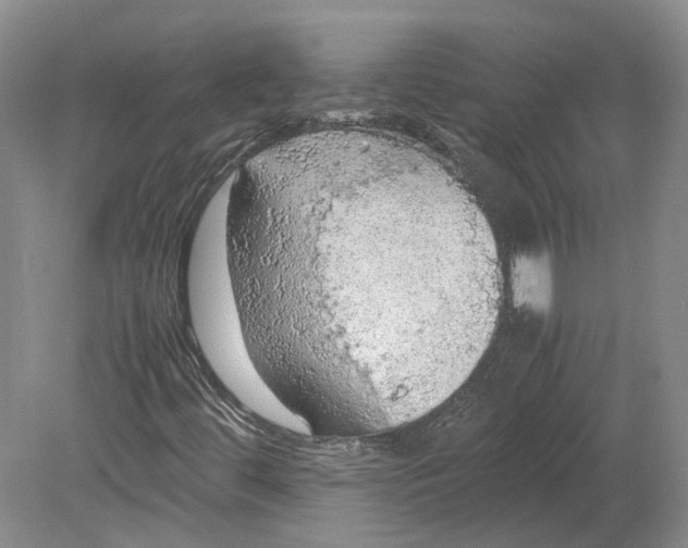 X0000080731444200701021108