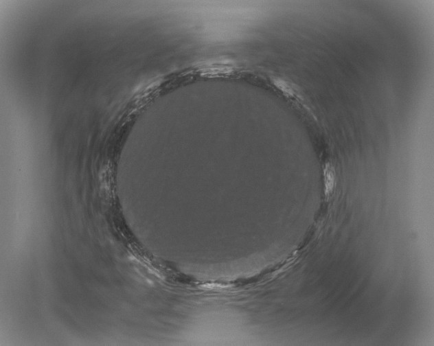 X0000080731445200701021108