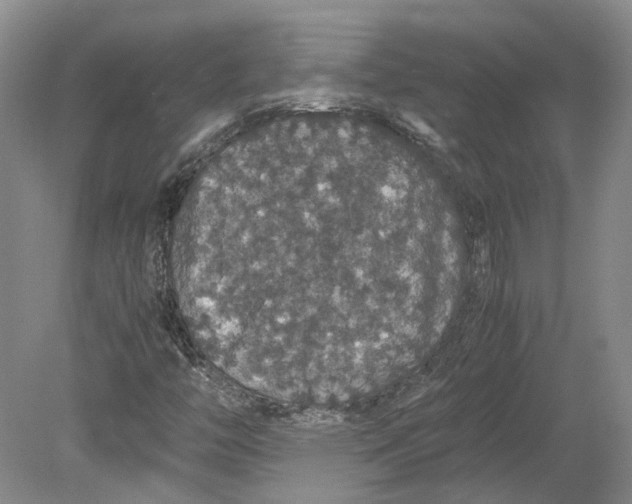 X0000080731446200701021108