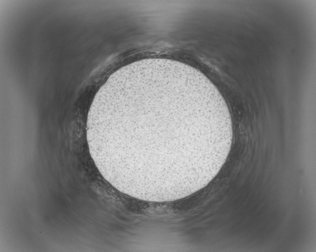 X0000080731447200701021108