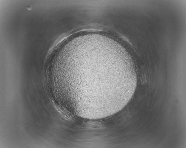 X0000080731448200701021108