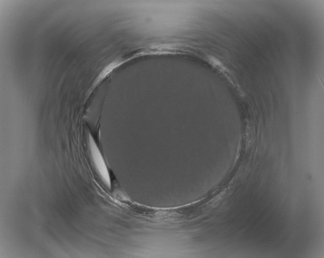 X0000080731449200701021108