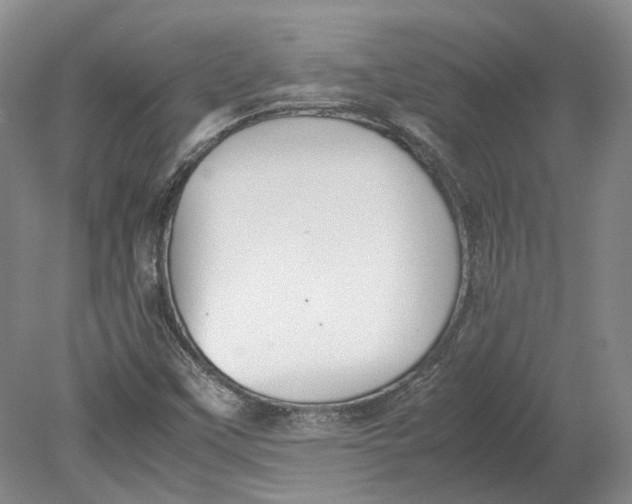 X0000080731451200701021108