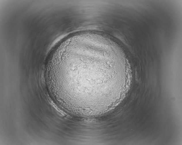 X0000080731452200701021108