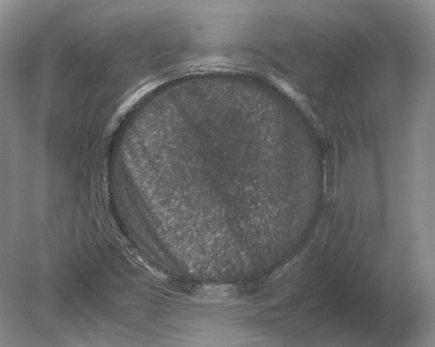 X0000080731453200701021107