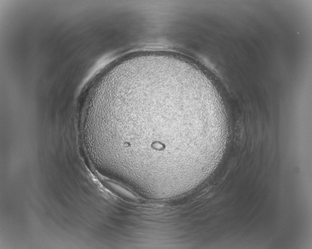 X0000080731456200701021107