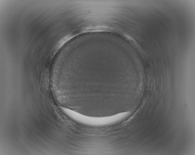 X0000080731457200701021107