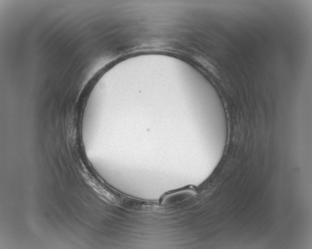 X0000080731458200701021107