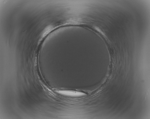 X0000080731459200701021107