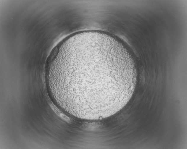 X0000080731460200701021107