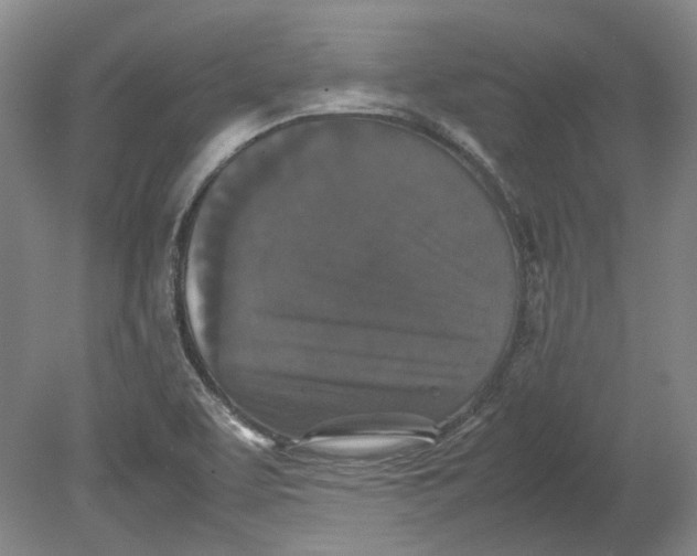 X0000080731463200701021107