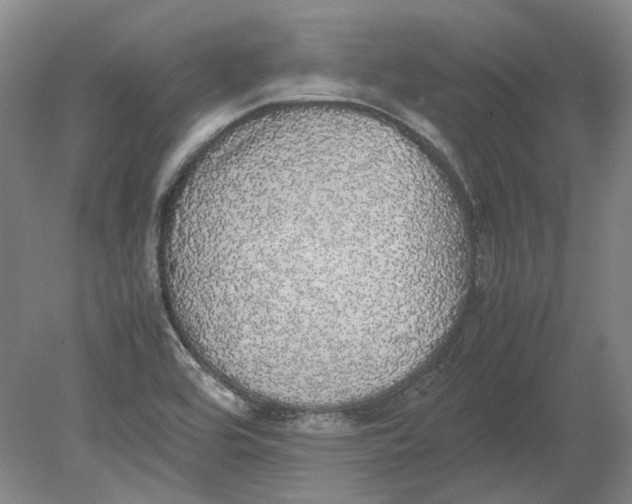 X0000080731464200701021107