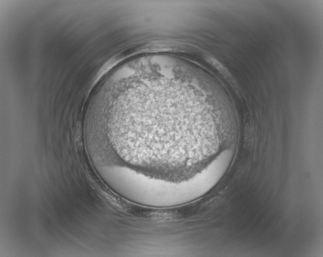 X0000080731465200701021107