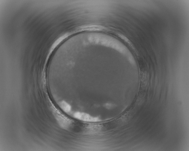 X0000080731466200701021107