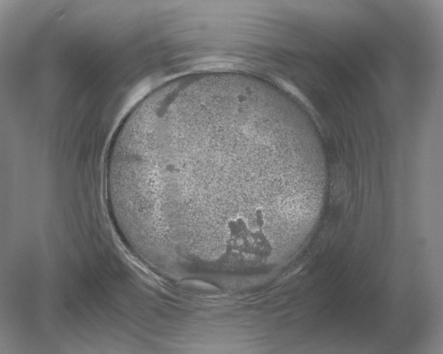 X0000080731467200701021107