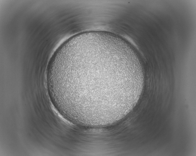 X0000080731468200701021107