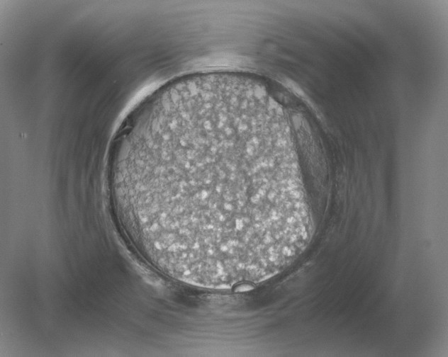 X0000080731469200701021107