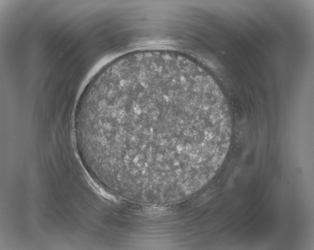 X0000080731470200701021107