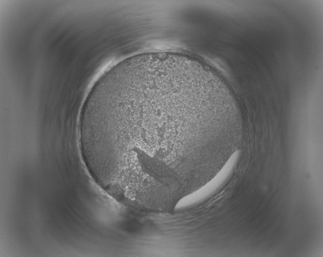 X0000080731471200701021107