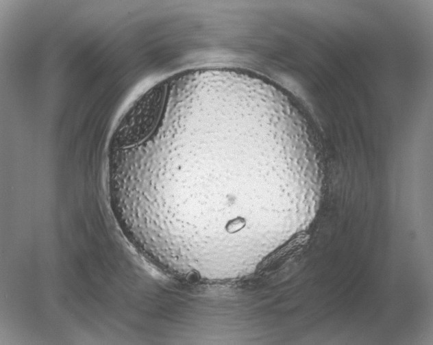 X0000080731472200701021107