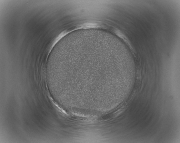 X0000080731473200701021107