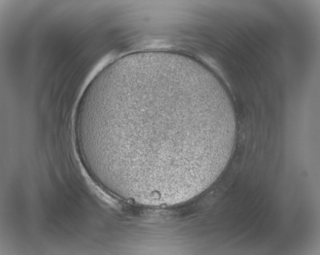 X0000080731475200701021107