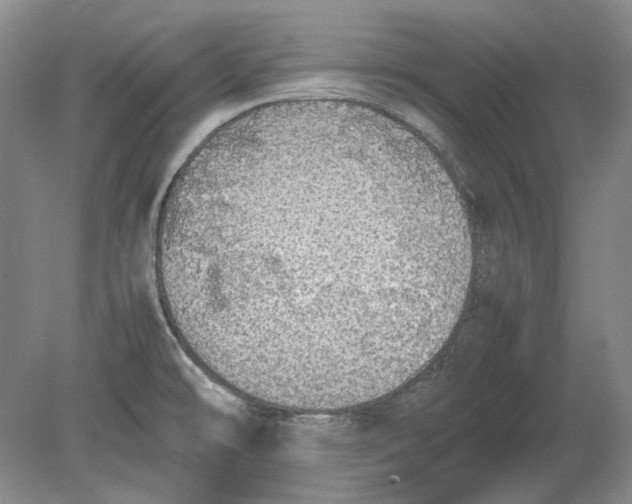 X0000080731478200701021107