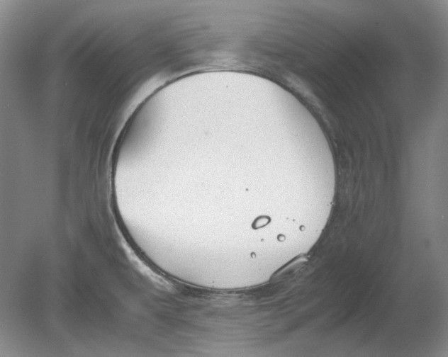 X0000080731479200701021107