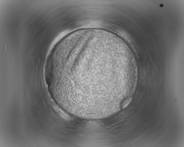 X0000080731480200701021107