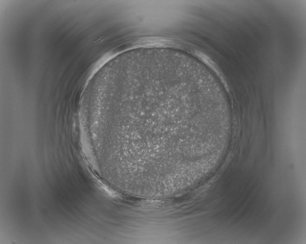 X0000080731481200701021107