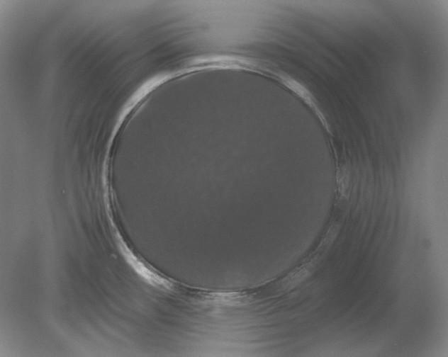 X0000080731482200701021107