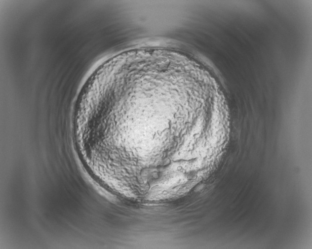 X0000080731483200701021107