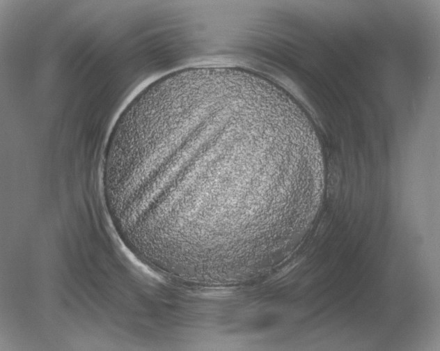 X0000080731484200701021107