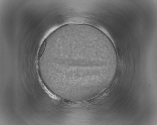 X0000080731485200701021107