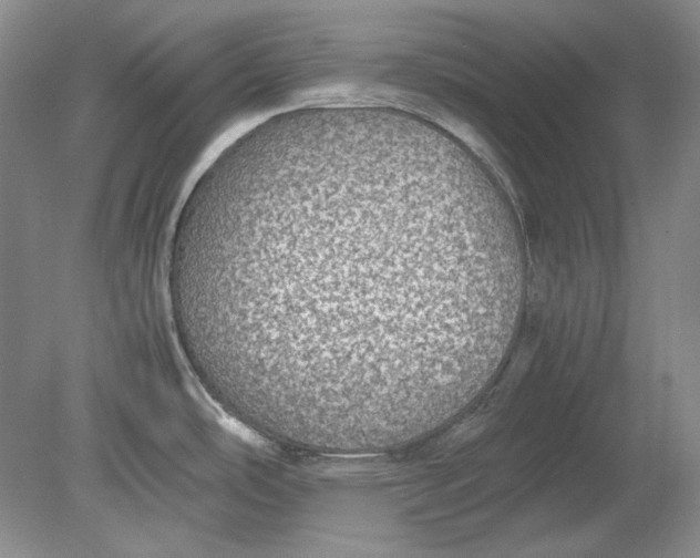 X0000080731486200701021107