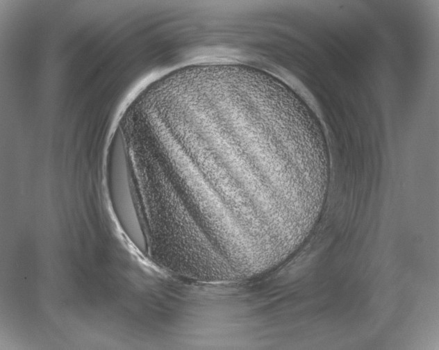 X0000080731488200701021107