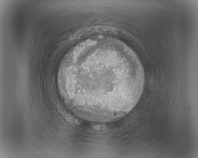 X0000080731489200701021106