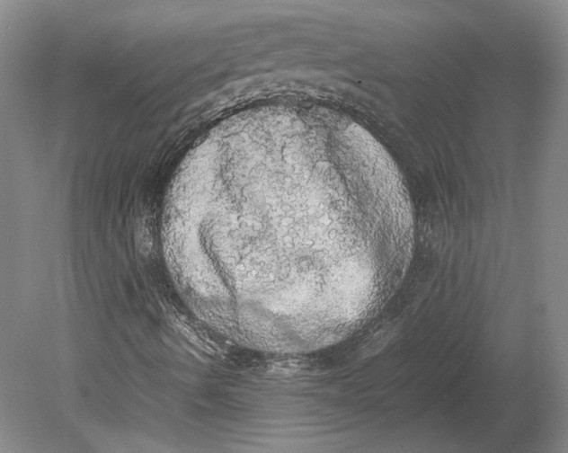 X0000080731490200701021106