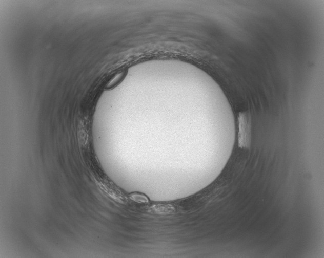 X0000080731491200701021106