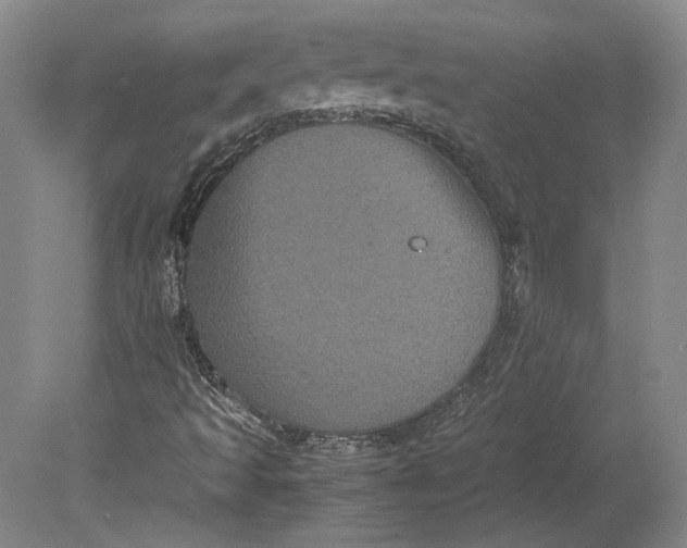 X0000080731493200701021106