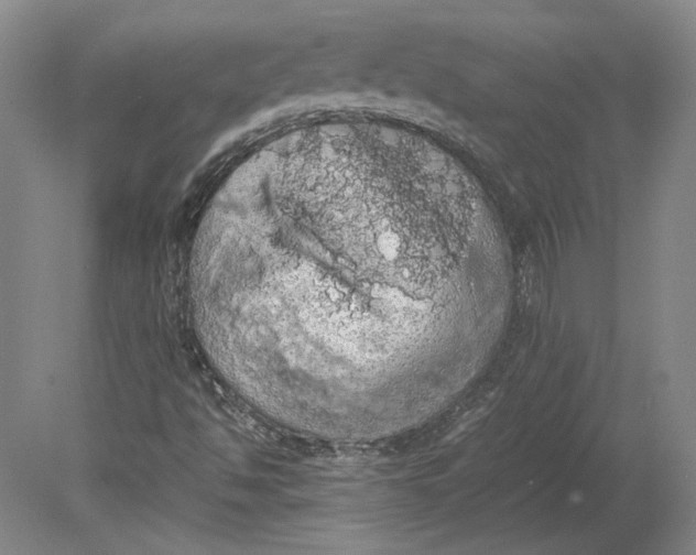 X0000080731494200701021106