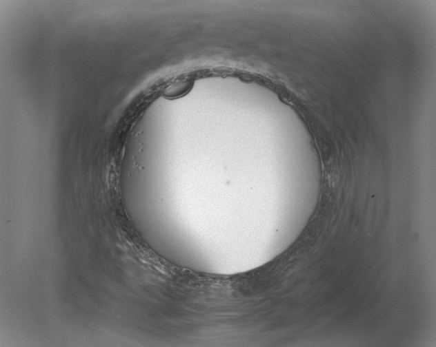 X0000080731495200701021106